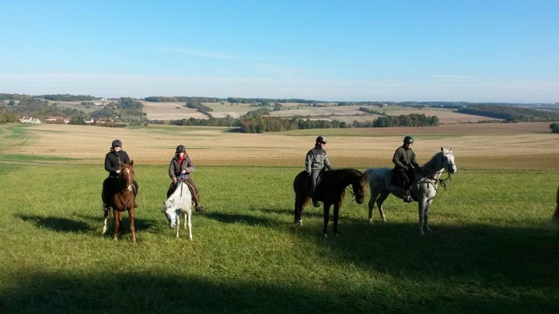 Avis de Massyl, Paris