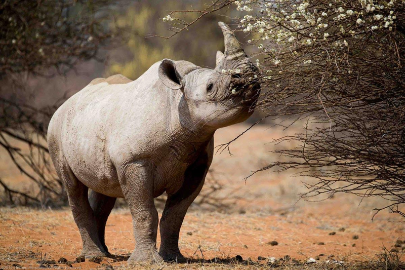 Avis de Hava LEFEBVRE - Voyage en France