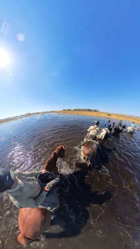 Avis de Lay - Voyage en Botswana