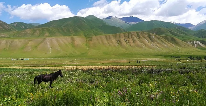 Avis de Christian - Voyage en Kirghizie