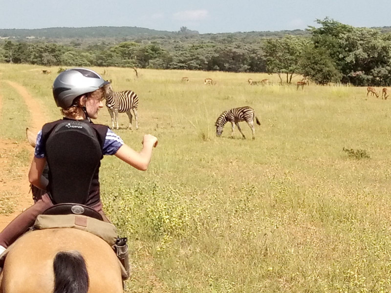 Avis de Famille GILLIER