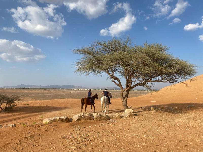 Avis de Nora - Voyage en Oman