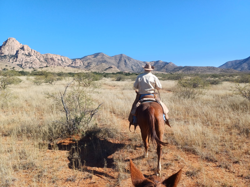 Avis de Audrey - Voyage en Etats-Unis