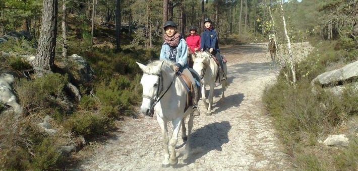 Avis de Anne-Laure, Ile-de-France