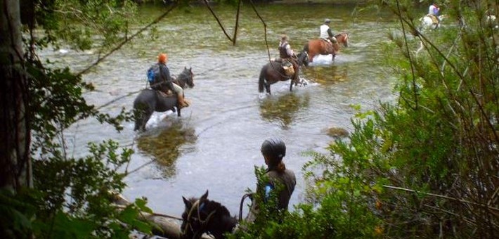 Avis de Antonio, St Laurent du Var