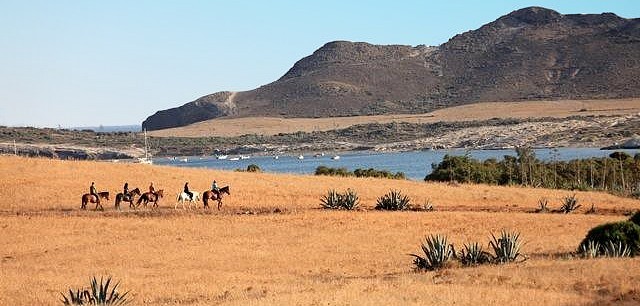 Avis de Marine, Lyon