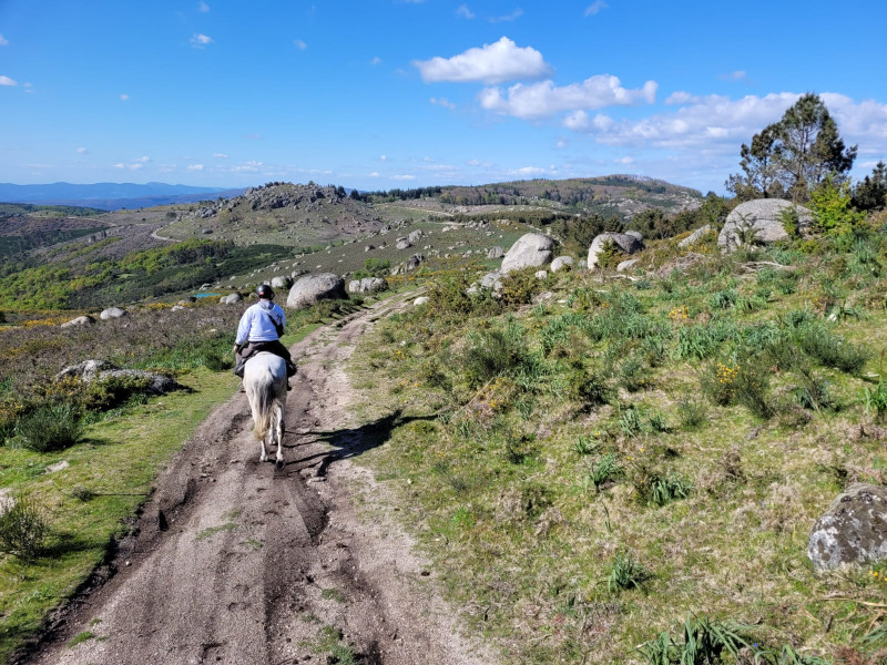 Avis de Margaux - Voyage en Portugal Açores Madère