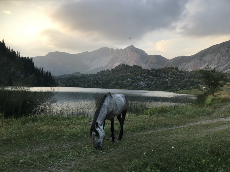 Avis de Mme Roecker - Voyage en Kirghizie