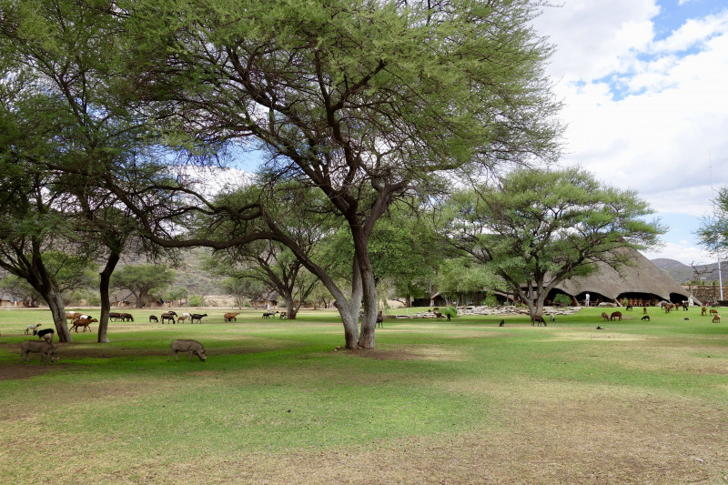 Parc du ranch