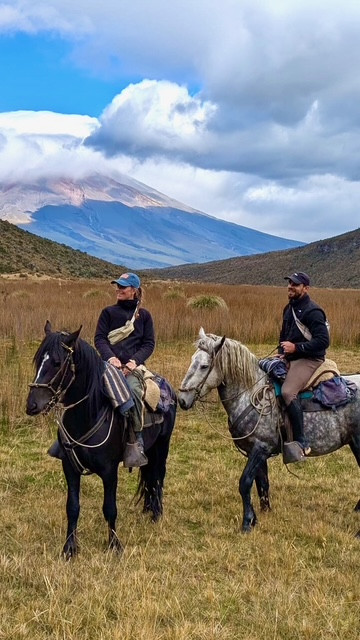 Avis de Cornu - Voyage en Equateur