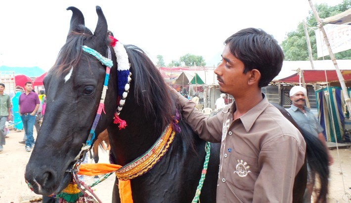 Avis de Jocelyne - Voyage en Inde