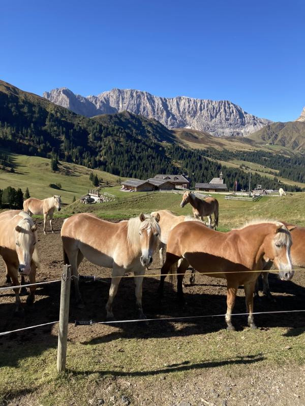 Avis de Julie - Voyage en Italie
