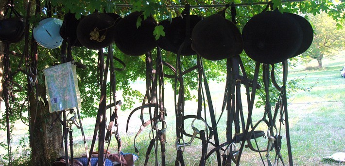 Avis de Sylvaine, Tourettes