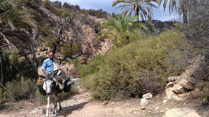 Avis de Véronique, Allier