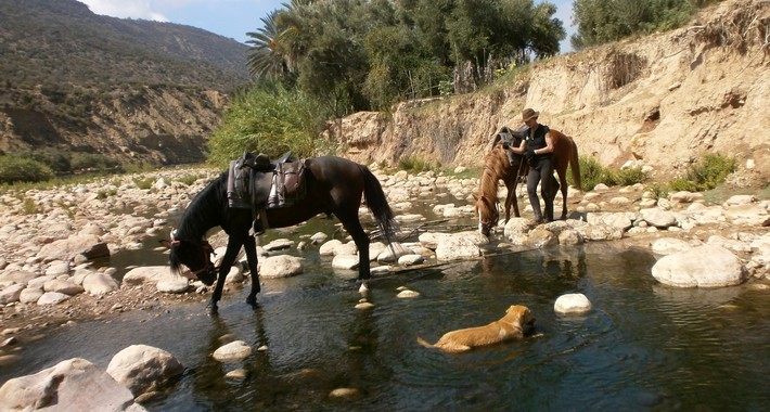 Avis de Nico et sa famille, Luxembourg