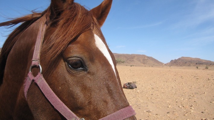 Avis de Frédérique, Champs sur Marne