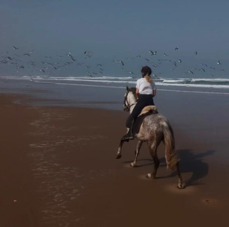 Avis de Sarah - Voyage en Maroc