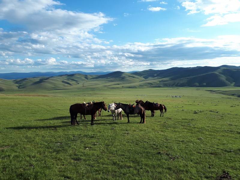 Avis de Pier-Luc - Voyage en Mongolie