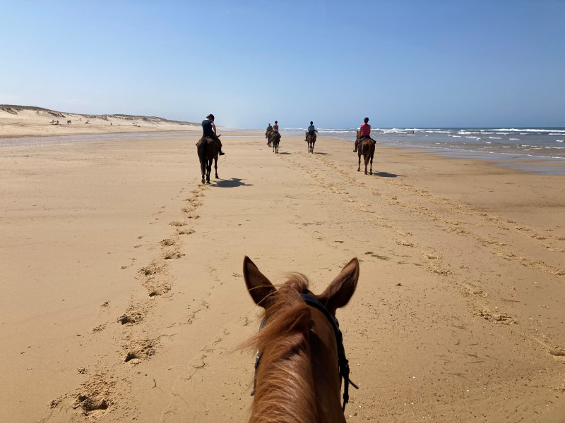 Avis de Elodie - Voyage en Aquitaine-Bord de mer