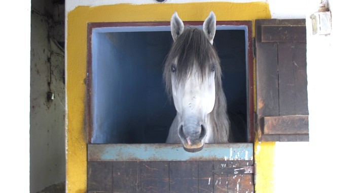 Avis de Jennifer, Paris