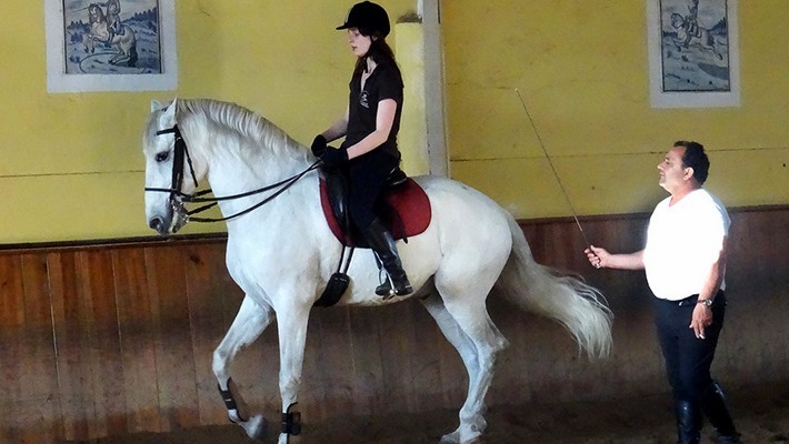 Avis de Jenny, Genève