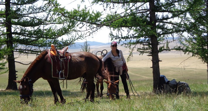 Avis de Véronique, Paris