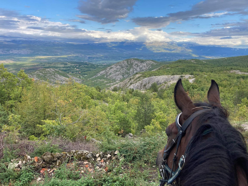 Avis de Diane - Voyage en Croatie