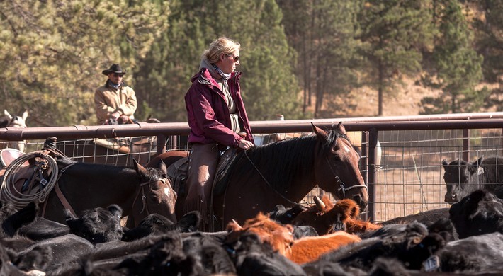 Avis de Isabelle, Versailles