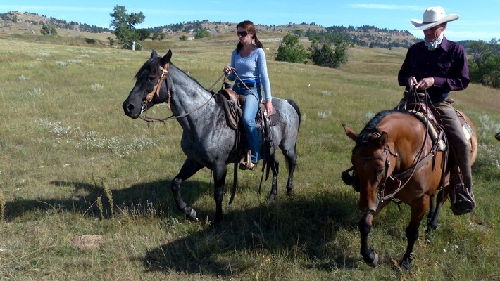 Avis de Jenny, Wiesviller