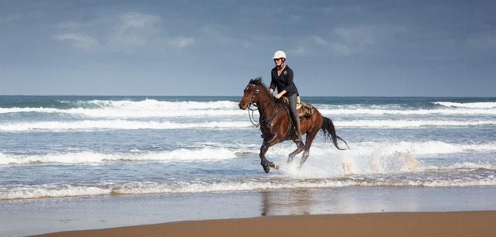 Randonnée à cheval et détente sur la Wild Coast