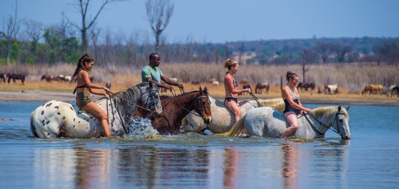 Jour 5. Safari à cheval - Réserve de Matlapeng