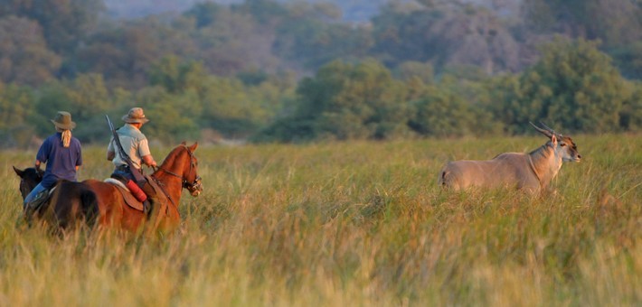 Jour 2. Réserve de Matlapeng - Safari à cheval en Afrique du sud