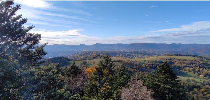 Randonnée équestre tous niveaux au cœur des vallées et massifs vosgiens - Caval&go