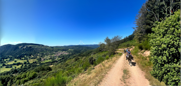 Randonnée équestre tous niveaux au cœur des vallées et massifs vosgiens - Caval&go