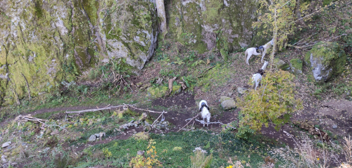 Randonnée équestre tous niveaux au cœur des vallées et massifs vosgiens - Caval&go