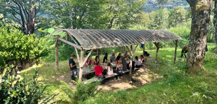 Randonnée équestre tous niveaux au cœur des vallées et massifs vosgiens - Caval&go