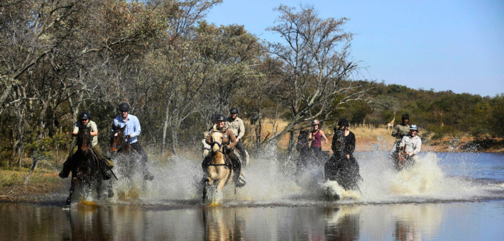Safari équestre pour cavaliers confirmés dans une réserve privée en Afrique du Sud - Caval&go