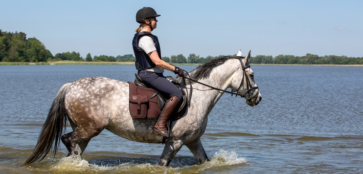 Séjour équestre de charme et randonnée en Pologne - Caval&go