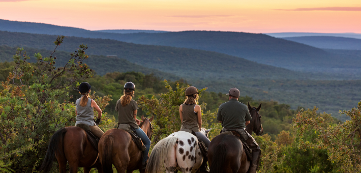 Safari équestre pour cavaliers confirmés dans une réserve privée en Afrique du Sud - Caval&go
