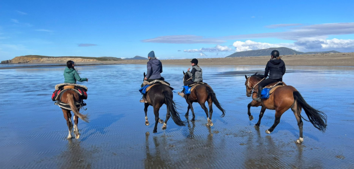 Expédition à cheval au bout du monde, dans les terres sauvages de Terre de Feu - Caval&go