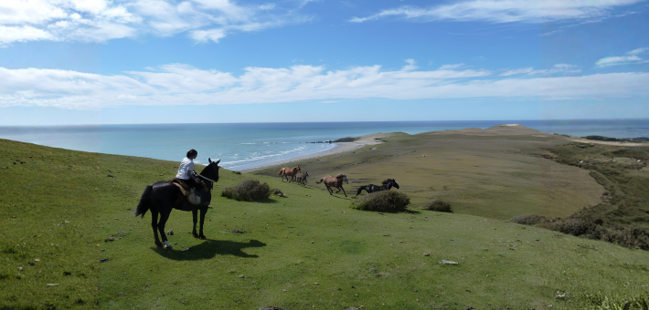 Expédition à cheval au bout du monde, dans les terres sauvages de Terre de Feu - Caval&go
