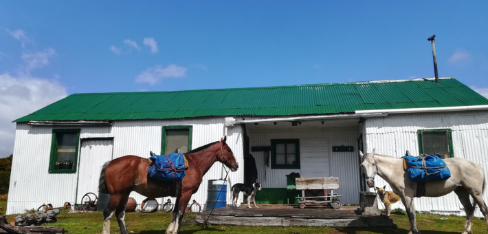 Expédition à cheval au bout du monde, dans les terres sauvages de Terre de Feu - Caval&go