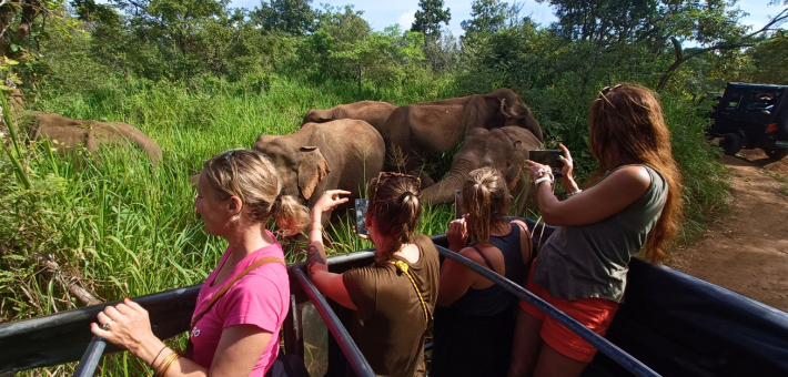 Grande traversée du Sri Lanka, entre immersion culturelle et randonnées à cheval - Caval&go
