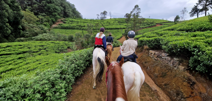 Escapade équestre au cœur de la culture et de la nature du Sri Lanka - Caval&go