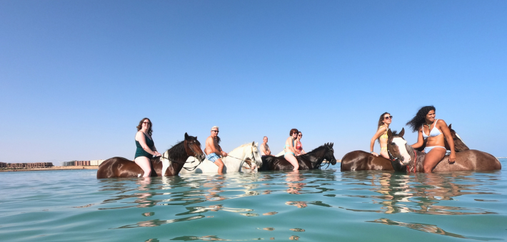 Escapade à cheval en Egypte : des Pyramides à la Mer Rouge - Caval&go