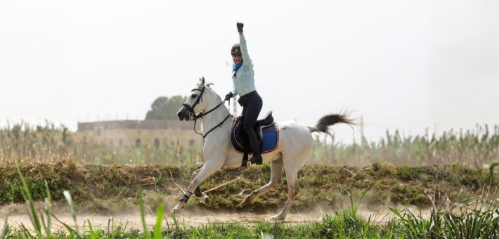 Escapade à cheval en Egypte : des Pyramides à la Mer Rouge - Caval&go