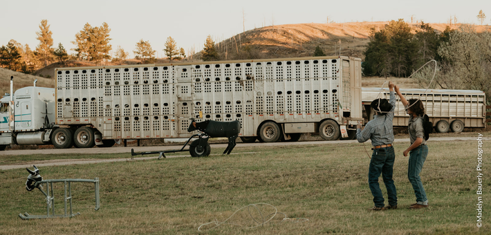 Séjour estival en ranch dans le Wyoming : balades à cheval, activités typiques et découverte grands espaces américains - Caval&go