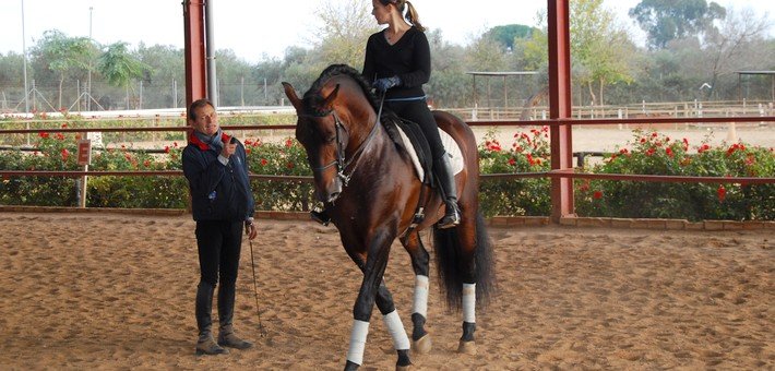 Jour 6. Vendredi. Stage de dressage
