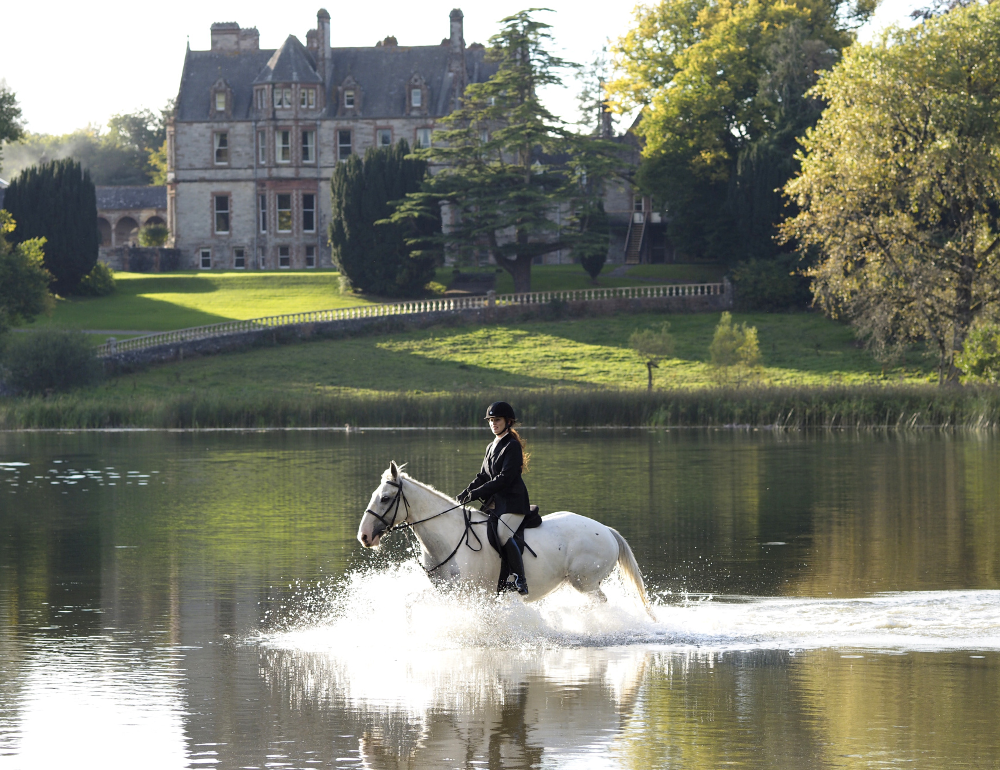 Stage d'équitation et balades au château en Irlande pour tous niveaux