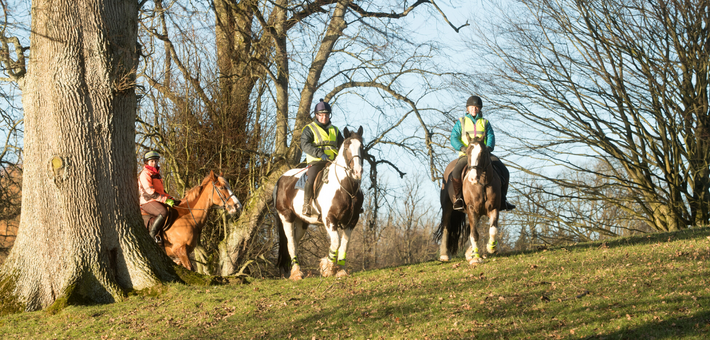 Apprendre à monter à cheval au château en Irlande - Caval&go